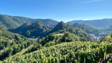 Blick auf die Ruinen der Burg Are und Altenahr vom Rotweinwanderweg