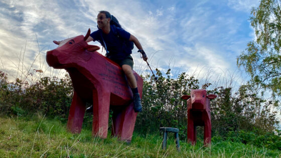 DeWandelaar albert auf der interaktiven Installation zur Oberharzer Bergweidewirtschaft