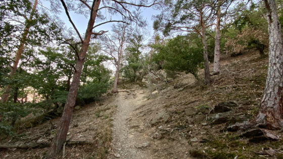Blick auf einen steilen Abschnitt des Fernwanderwegs AhrSteig