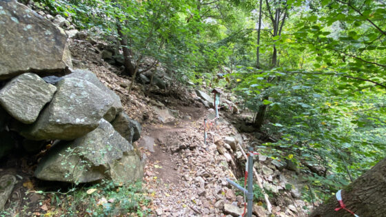 Ein steiniger Pfad des Harzer-Hexen-Stiegs durch die Bodetal