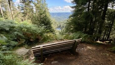 Blick vom Schurmseeblick auf den Schurmsee auf dem Seensteig im Schwarzwald