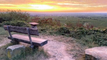 Ein Blick auf einen Sonnenaufgang über dem Rheintal vom Pfälzer Weinsteig