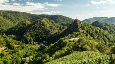 Ein Blick auf Burg Are im Ahrtal mit Weinbergen im Vordergrund