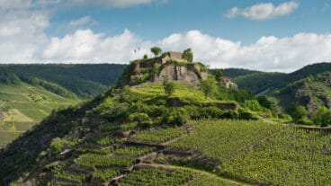 Weinberge rund um die Ruinen der Saffenburg bei Mayschoß